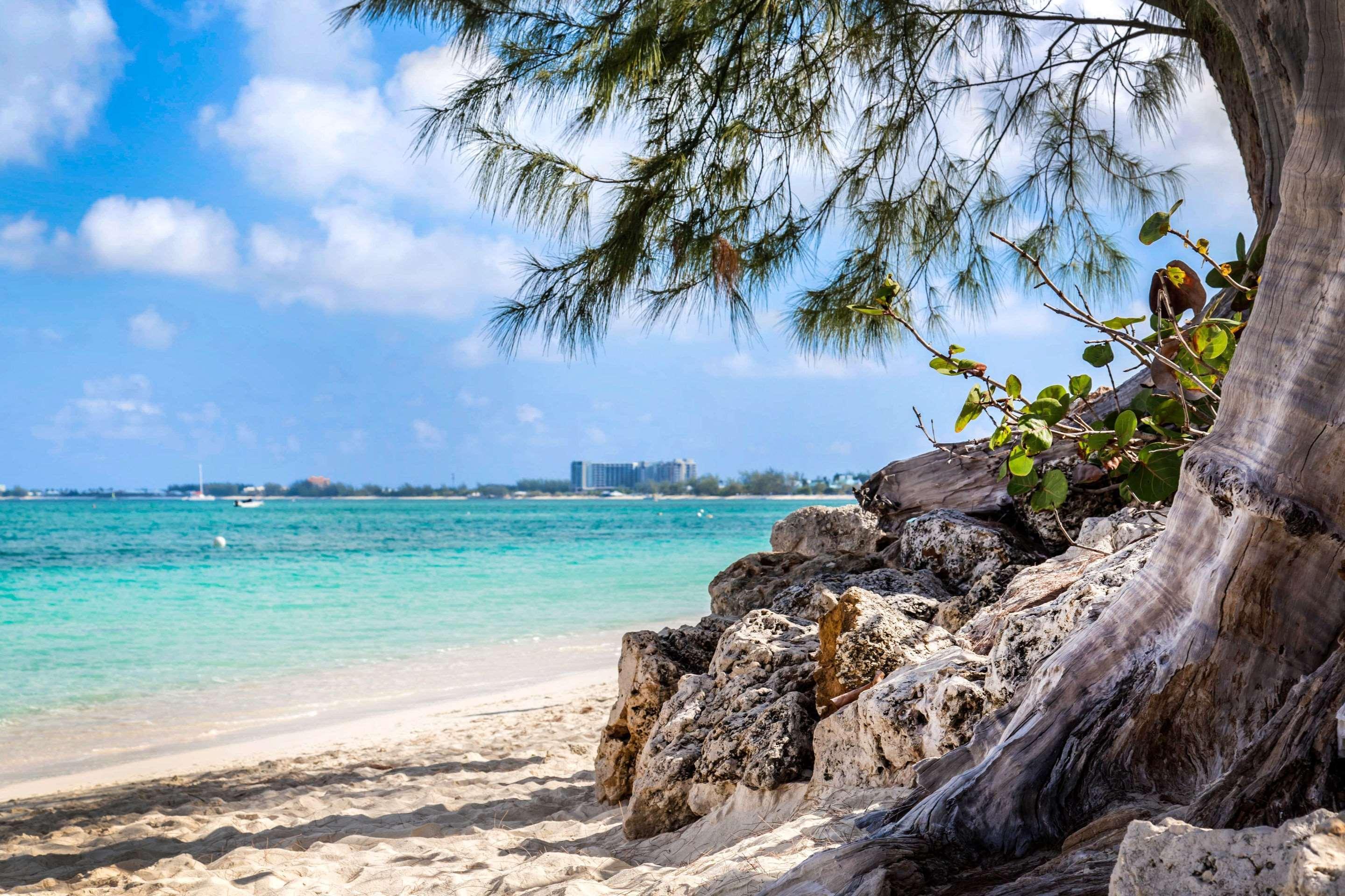 Resort Hampton By Hilton Grand Cayman Seven Mile