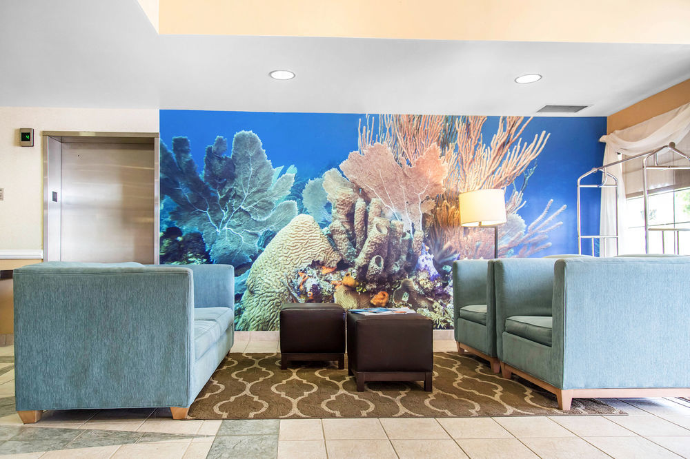 Hampton By Hilton Grand Cayman Seven Mile 3* George Town