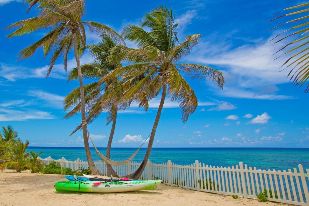 Babylon Reef - With Private Pool & Backyard Snorkeling Holiday home