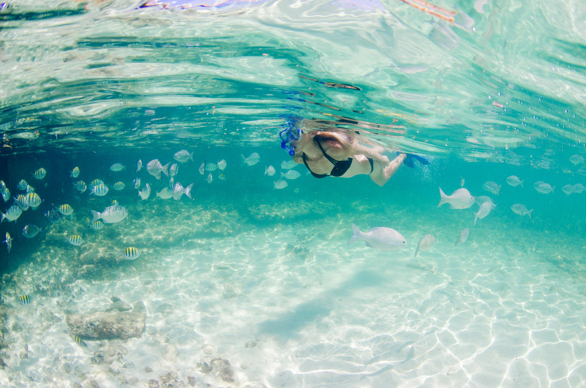 Wyndham Reef Resort, Grand Cayman Resort 4*
