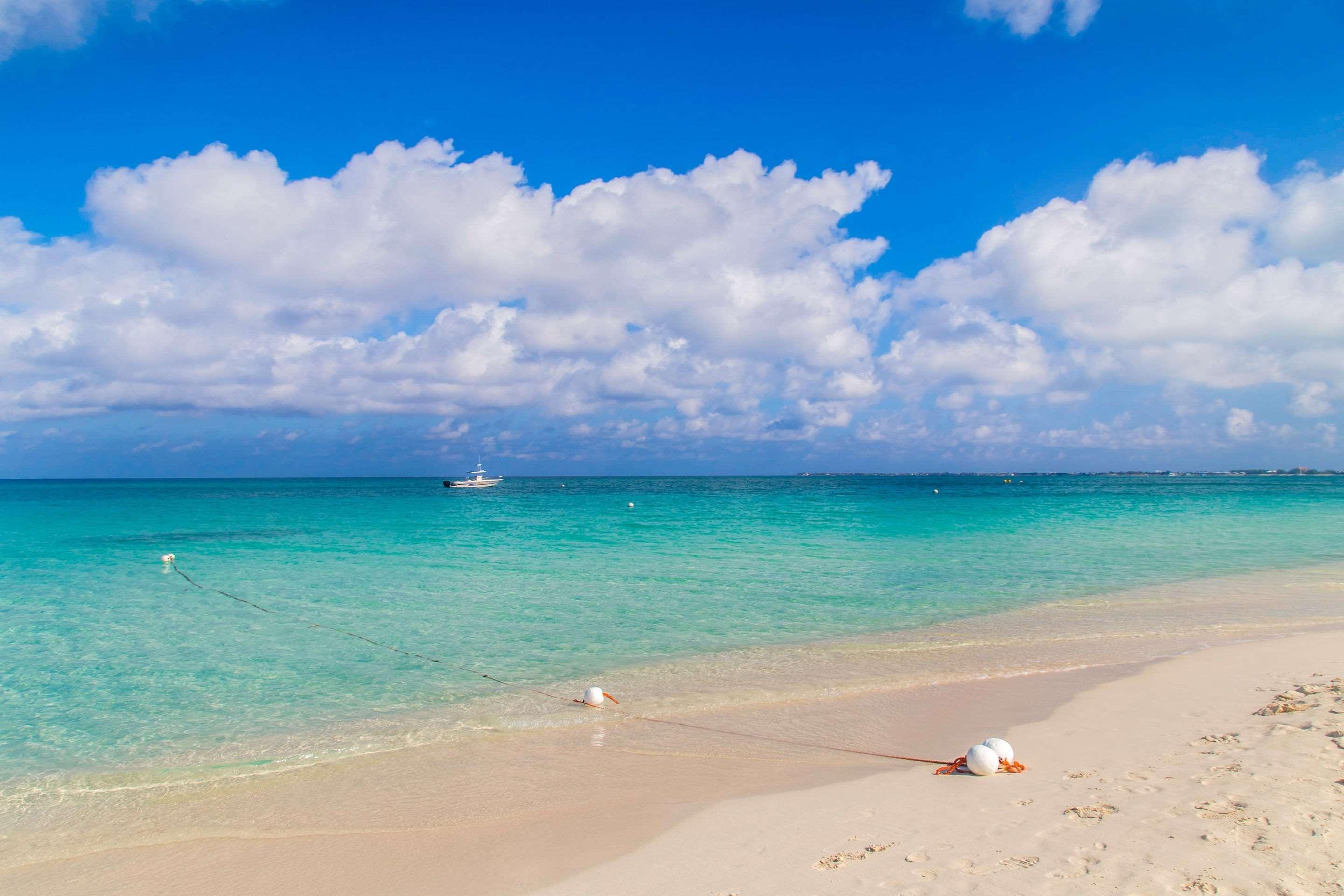 Resort Hampton By Hilton Grand Cayman Seven Mile George Town