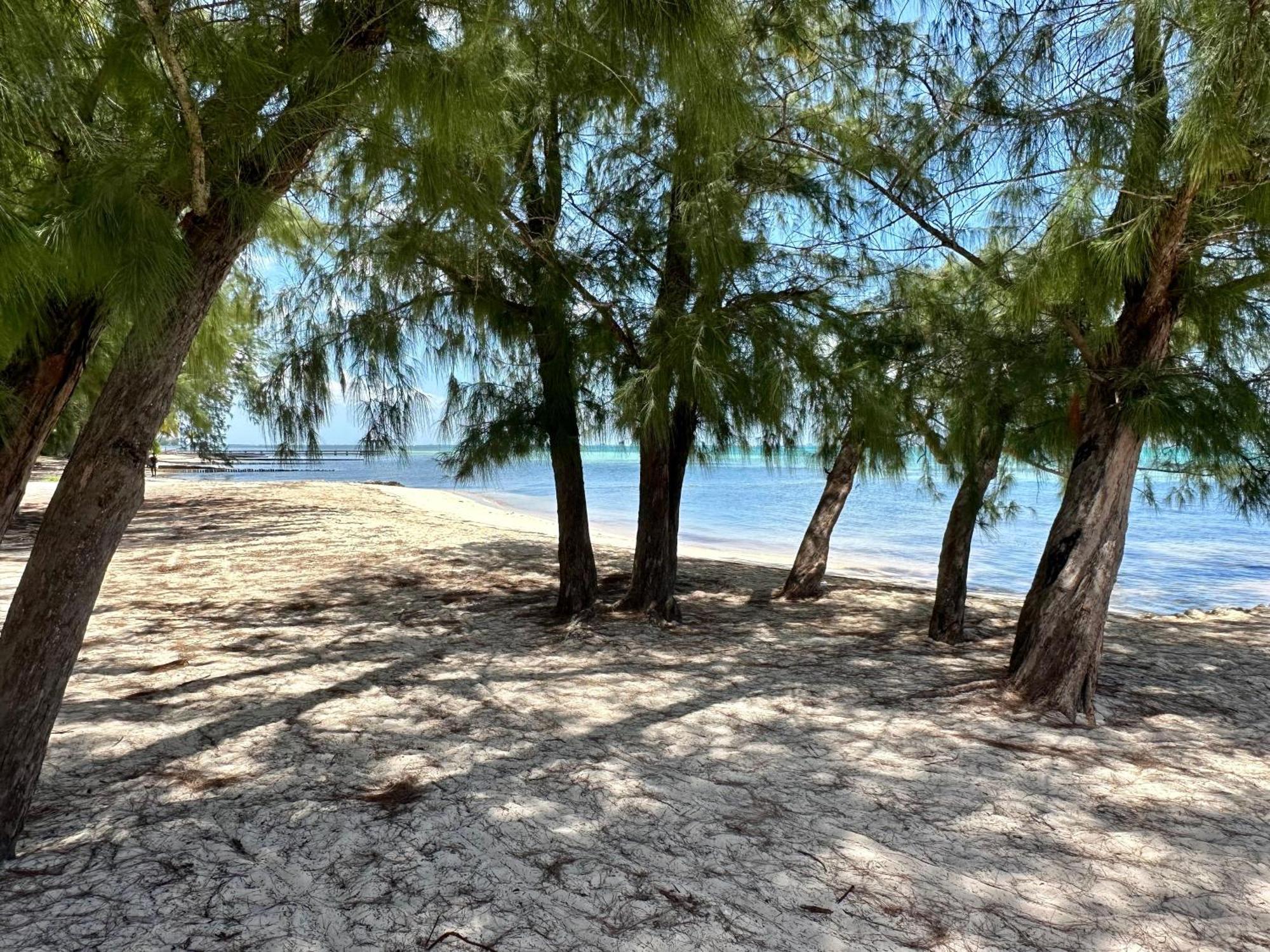 Island House #12 At Point *
