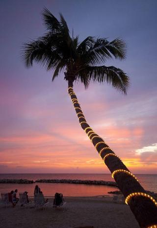Hotel Treasure Island 3*